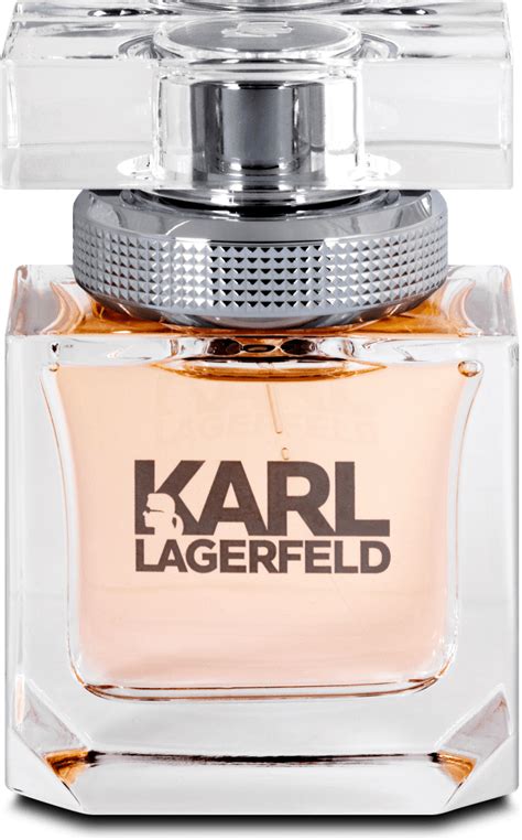 dm karl lagerfeld parfum